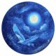 Polnočni orel - oljna slika na frisbeeju
